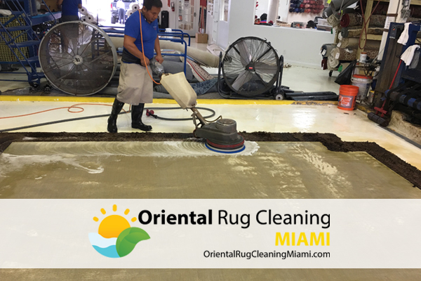 Area Rug Cleaners Miami