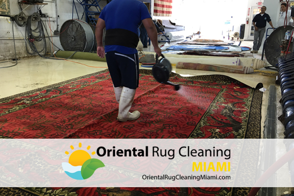 Oriental Rug Cleaning Service