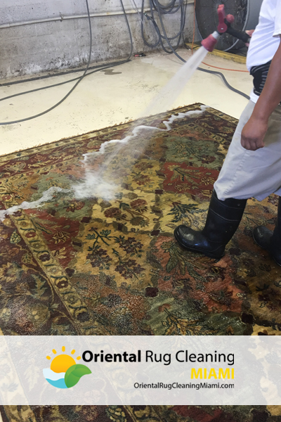 Rug Cleaners Service