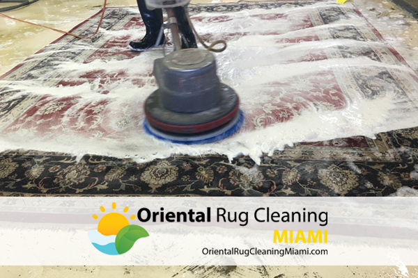 Affordable Rug Cleaning Service
