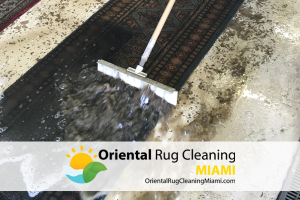 Area Rug Cleaning Miami