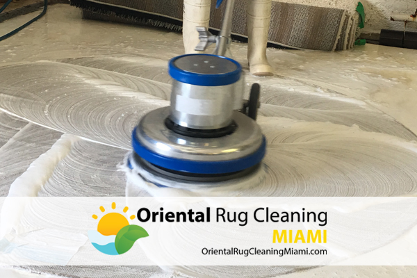 Rug Cleaning Service Miami