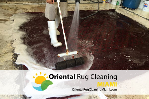 Rug Pet Stain Removal Service