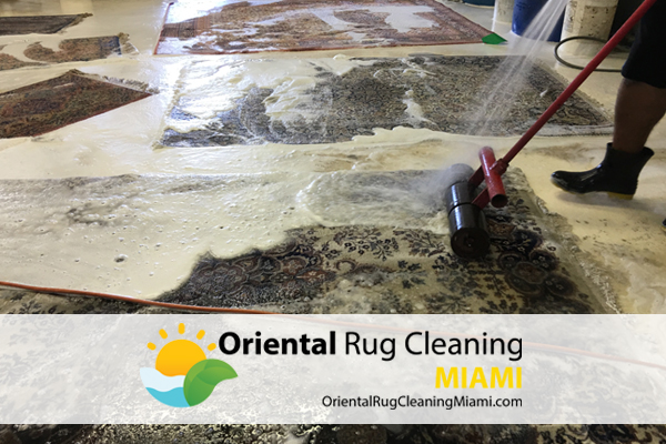 Rug Urine Stain Removal