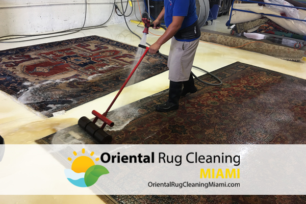 rug pet urine odor removal