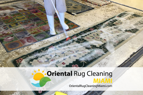 Area Rug Cleaning Specialists