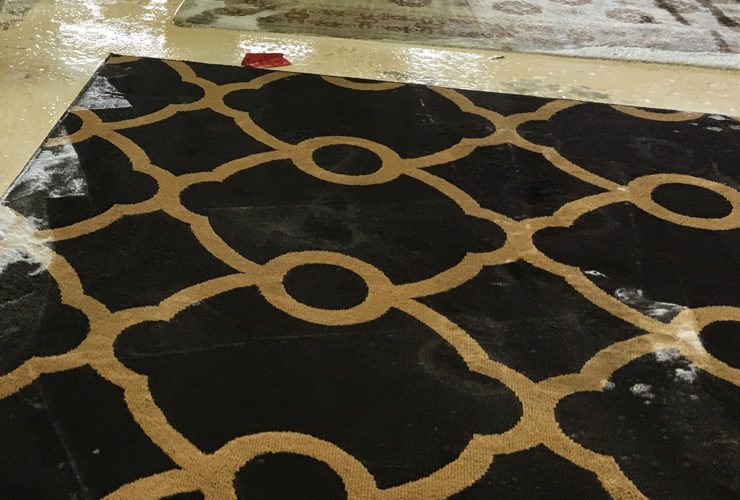 Best Modern Rug Cleaning