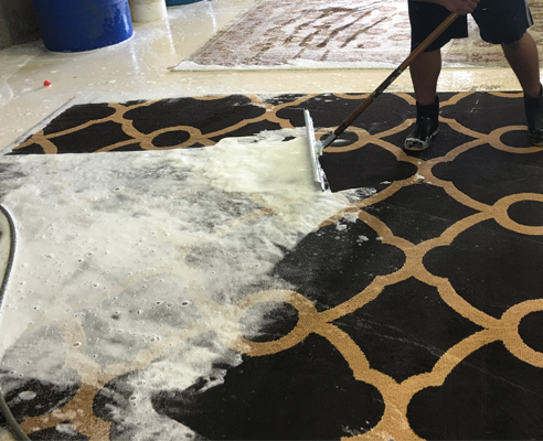 Modern Rug Washing Service