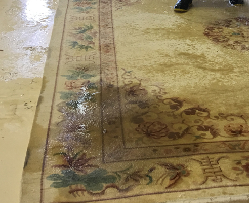 Oriental Rug Hand Cleaning Miami