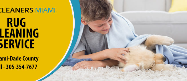 Pet Stain Removal Service