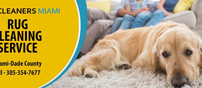 Pet Odor Removal Service