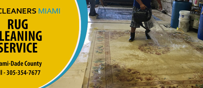 Sisal Rug Cleaning