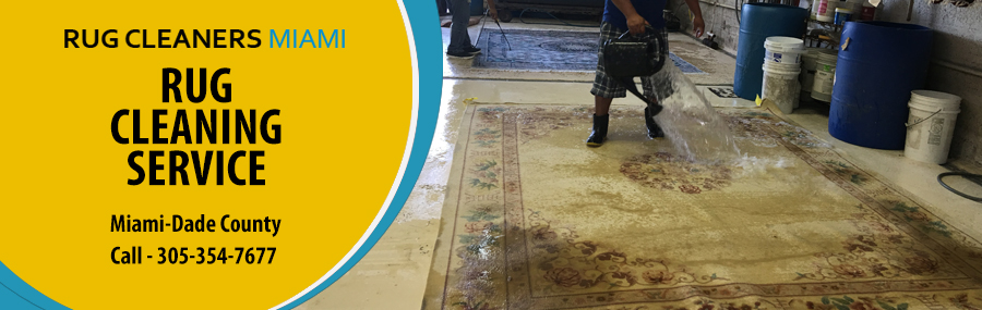 Sisal Rug Cleaning