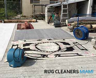 Rug Drying Process