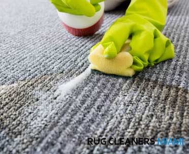 Rug Pet Stain Clean by Hand