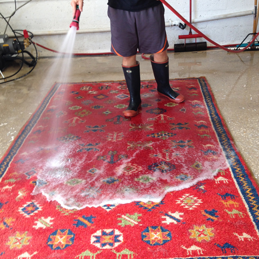 Expert Area Rugs Cleaners