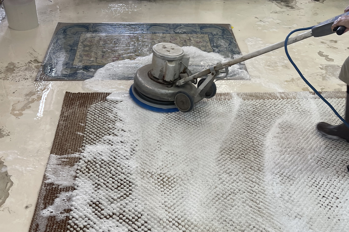 Area Rug Cleaning Service