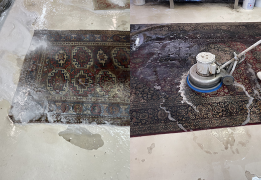Best Persian Rug Cleaning