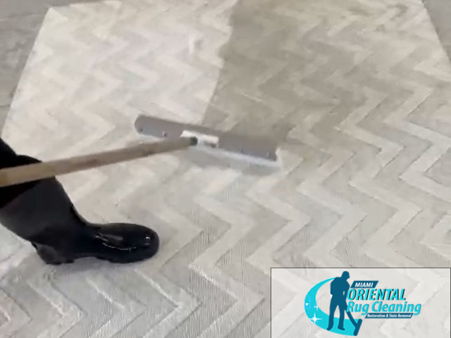 Area Rug Cleaning Service
