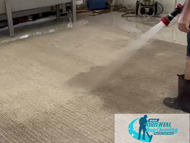 Modern Rug Cleaning Service Modern Rug Cleaning Service