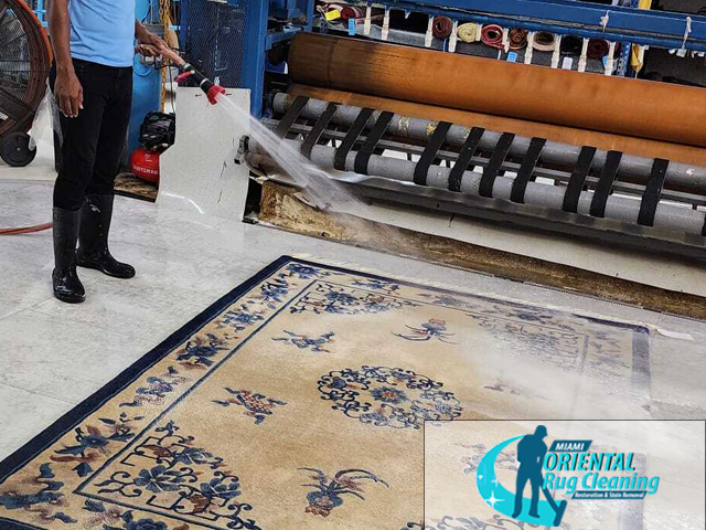 Persian Rug Cleaning Service