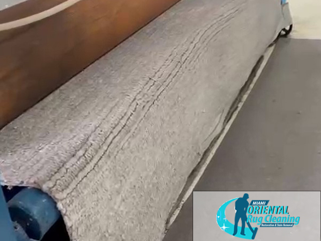 Pet Odor & Stain Removal Service Pet Odor & Stain Removal Service