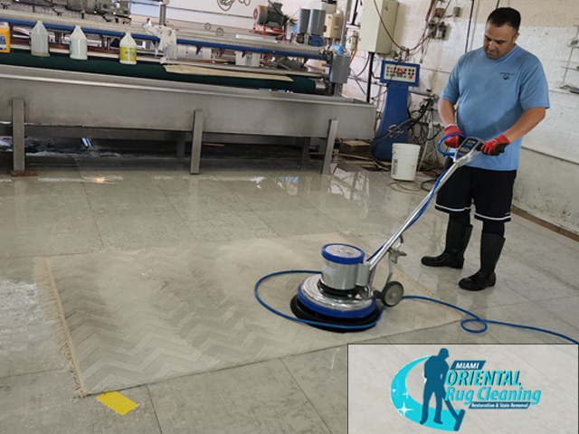 Rug Cleaning Service
