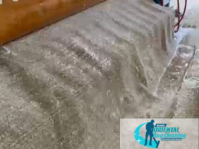 Rug Cleaning