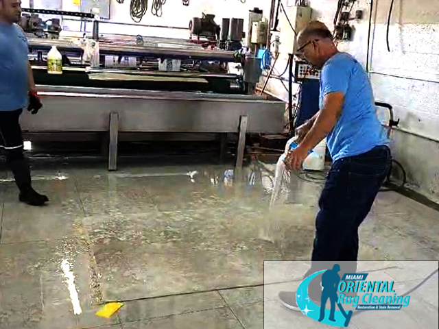 Sisal Rug Cleaning