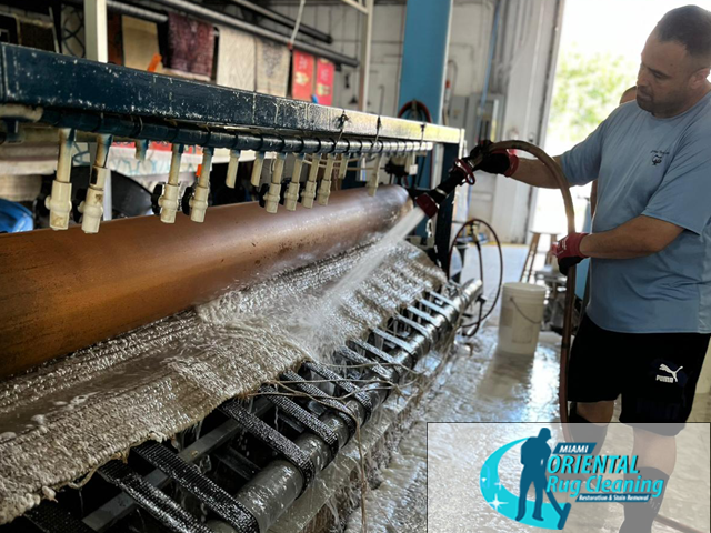 Sisal Rug Cleaning 1